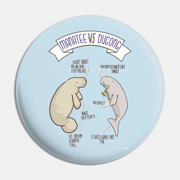 Manatee VS Dugong: an educational poster with a bit of humour illustration Pin by tostoini