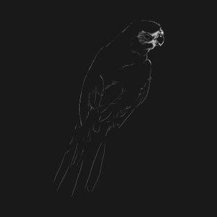 "Parakeet" Jamie's Hand-Drawn Collection T-Shirt
