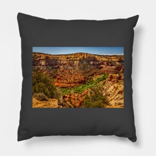 Utah Route State 12 Scenic Drive Pillow