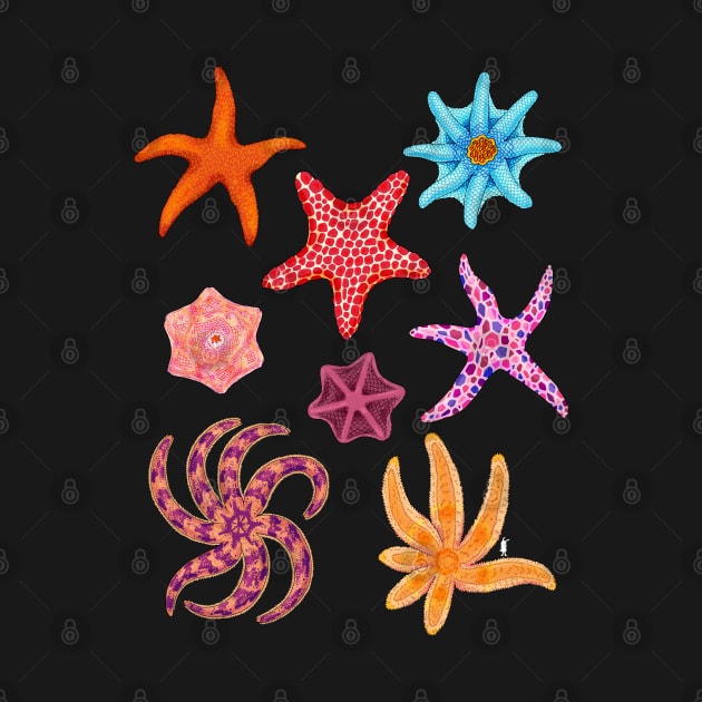 Starry Starfish by Marta Tesoro