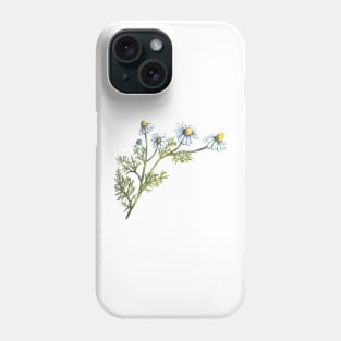 Chamomile - realistic painting - watercolor - herb study Phone Case