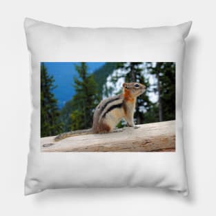 Chipmunk in Banff Alberta in Canada Pillow