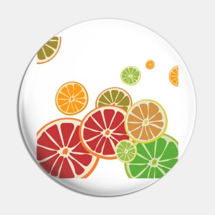 Fruits Oranges and lemons in citrus colors Pin