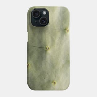 Detailed capture of cactus Phone Case