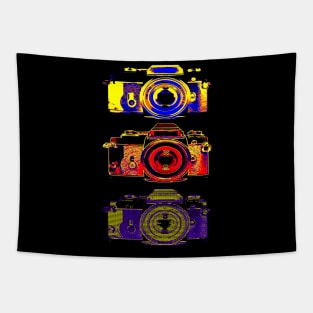 Vintage Camera Art with Asci Art Tapestry