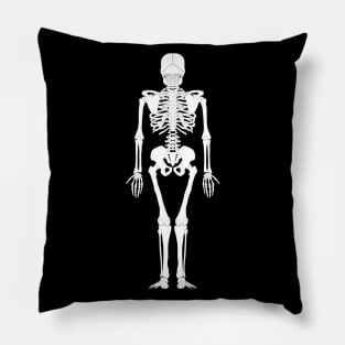 Back bone Pillow