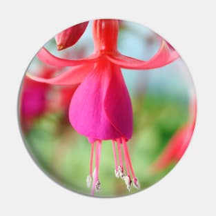 Fuchsia &#39;Pink Fizz&#39; Pin