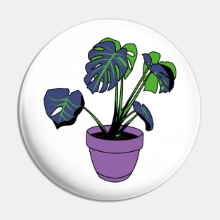 Monstera Deliciosa Pin