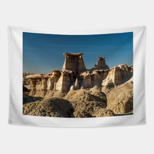 Bisti Badlands Tapestry