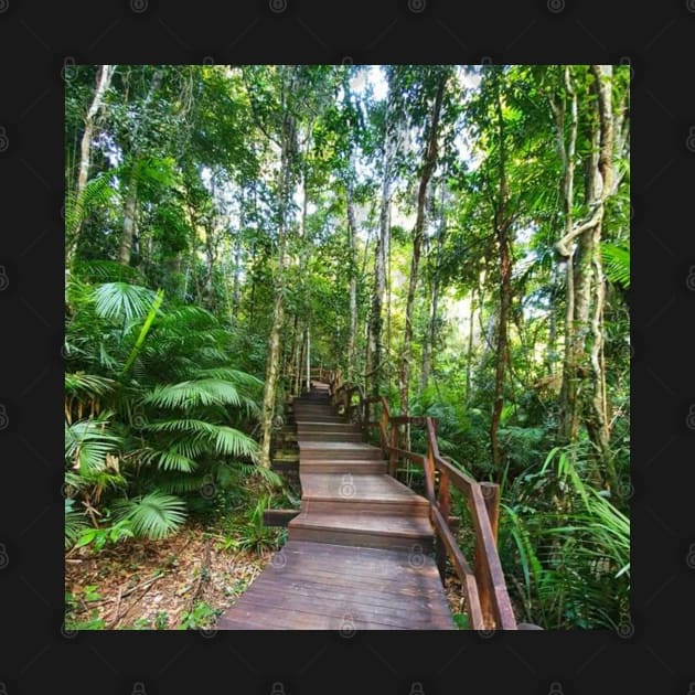 Stairway to Rainforest Heaven by Felicity-K