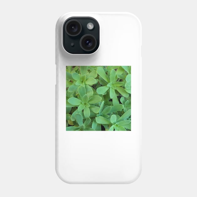 Sedum Palmeri Leaves Phone Case by DesignMore21