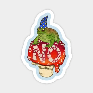 Grumpy Toad Wizard says NO Magnet