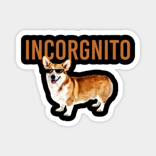 Incorgnito Magnet