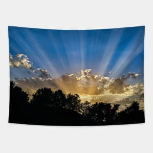 Sun rays at sunset Tapestry