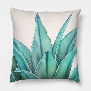 Agave Pillow