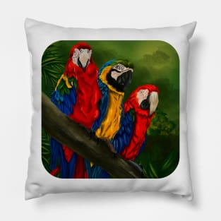 The Three Amigos Macaw Painting Pillow