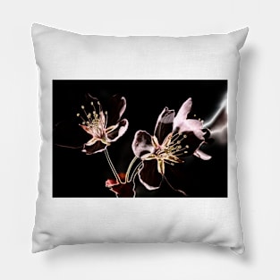 Cherry Blossom Pillow