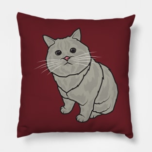 The grey Cay Pillow