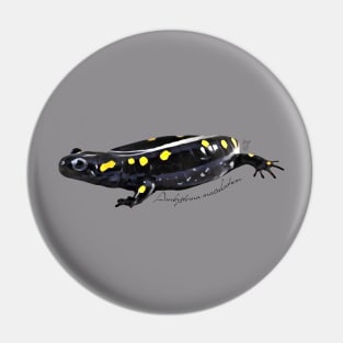 Spotted salamander art with scientific name Pin