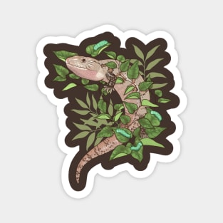 Blue Tongue Skink with Vines and Hornworms Magnet