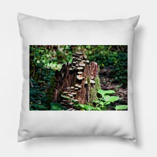 Mushroom Stump Pillow