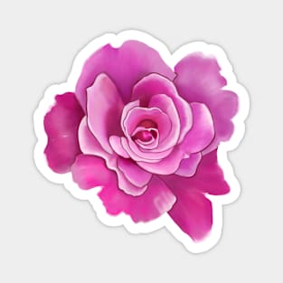 Pink Rose Drawing Magnet