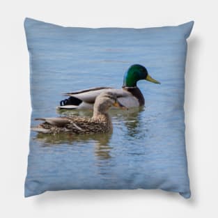 Mallards mates Pillow