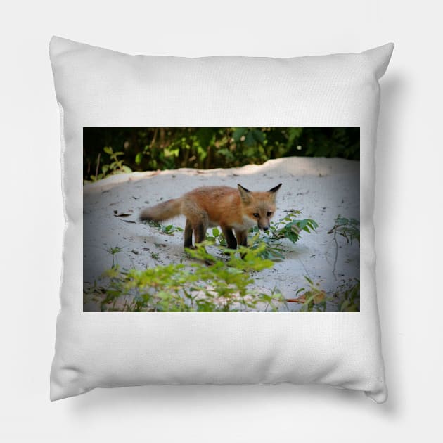 Adorable Fox Cub Pillow by Cynthia48