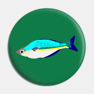 Bosemans Rainbowfish Pin