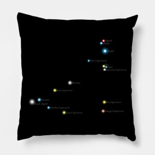 Constellation Capricorn Pillow