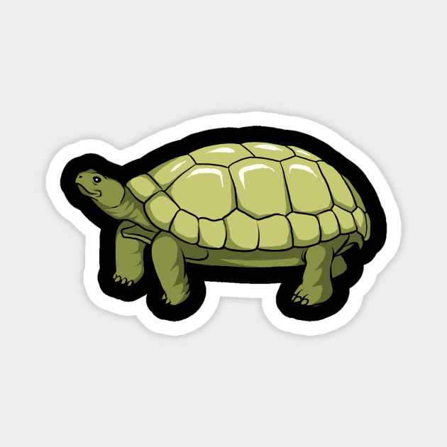 Tortoise Magnet by fromherotozero