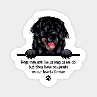 Dogs may not live as long as we do, but they leave pawprints  on our hearts forever Magnet