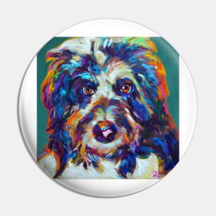 Max the AUSSIEDOODLE Pin