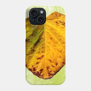 Old collard leaf Phone Case