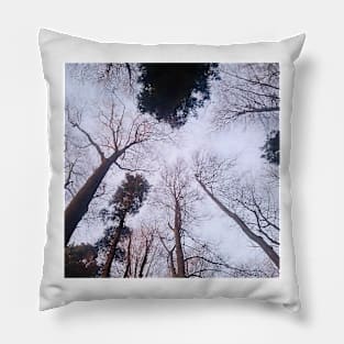 Beautiful Trees Perspective and Clear Sky Pillow