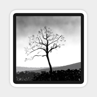 Lonely Winter Tree Magnet