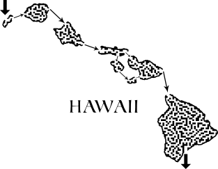 Hawaii State Outline Maze & Labyrinth Magnet