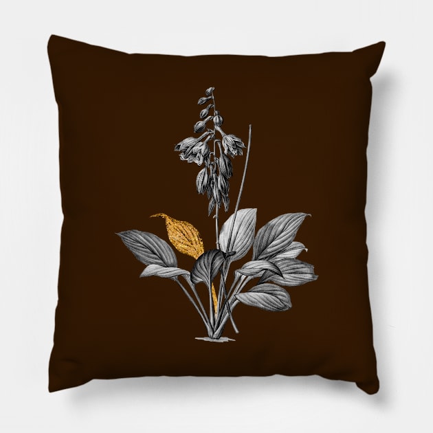 Black and Gold Leaf - Daylily - Vintage Botanical Pillow by Holy Rock Design