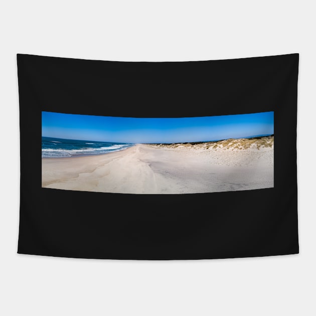 Aerial view of Torreira beach Tapestry by homydesign