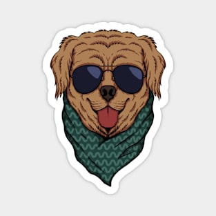 Cool Golden Retriever Head Magnet