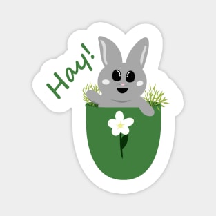 Hay! Bunny in a Pocket Magnet