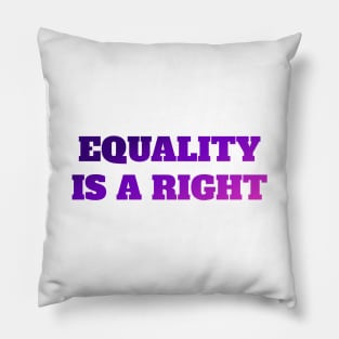 Equality Right Gender Equality Pillow