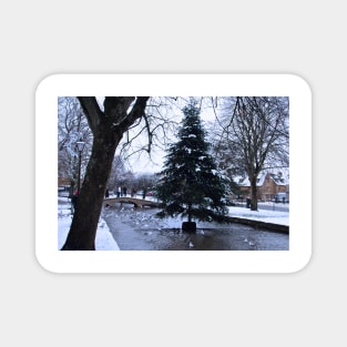 Bourton on the Water Christmas Tree Cotswolds Magnet