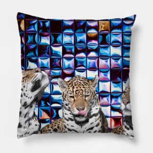 Minutes of Glory  / Swiss Artwork Photography Pillow