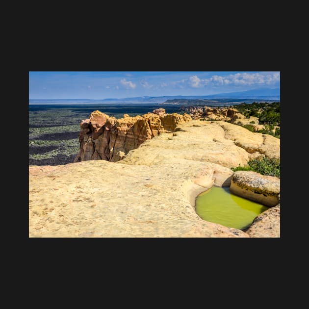 El Malpais Sandstone Bluffs by Debra Martz