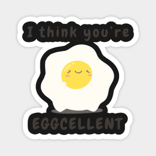 I think you’re excellent pun Magnet