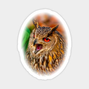 Vociferous Eagle Owl Magnet