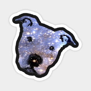 Star Dog Magnet