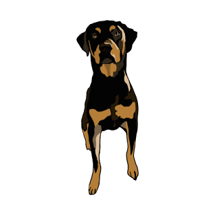 Rottweiler Dog T-Shirt