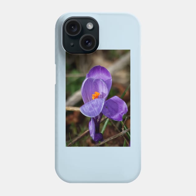 Wild crocus Phone Case by Violaman